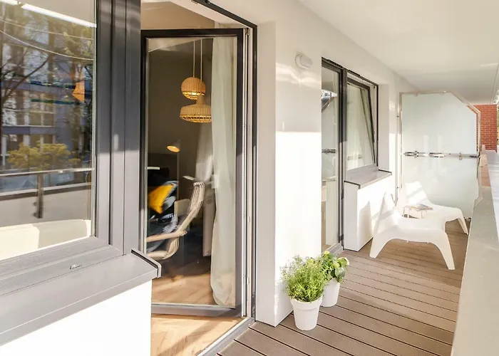 Surf Surfingbird * Kolobrzeg